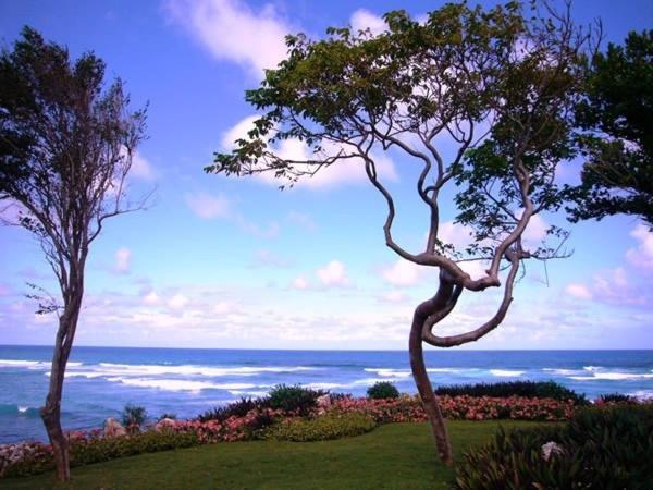 Villa Cantamar カブレラ エクステリア 写真